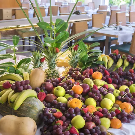 Ght绿洲托萨酒店&spa 酒店 滨海托萨